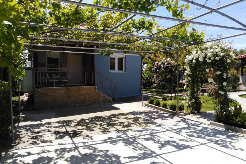 Villa Viktoria Halkidiki Nea Silata Exterior foto