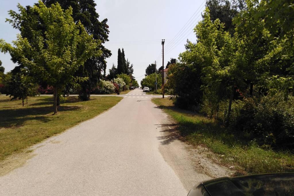 Villa Viktoria Halkidiki Nea Silata Exterior foto