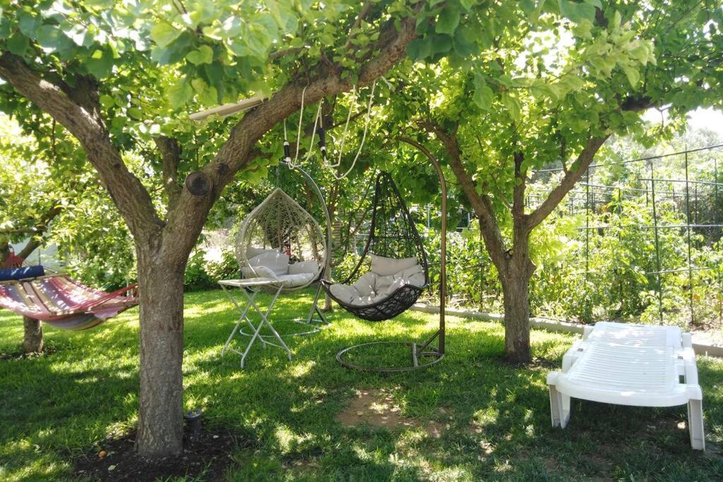 Villa Viktoria Halkidiki Nea Silata Exterior foto