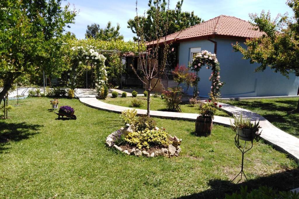 Villa Viktoria Halkidiki Nea Silata Exterior foto