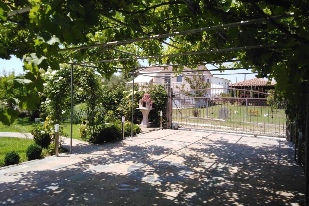 Villa Viktoria Halkidiki Nea Silata Exterior foto